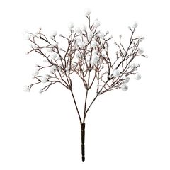 000000001000339838-0