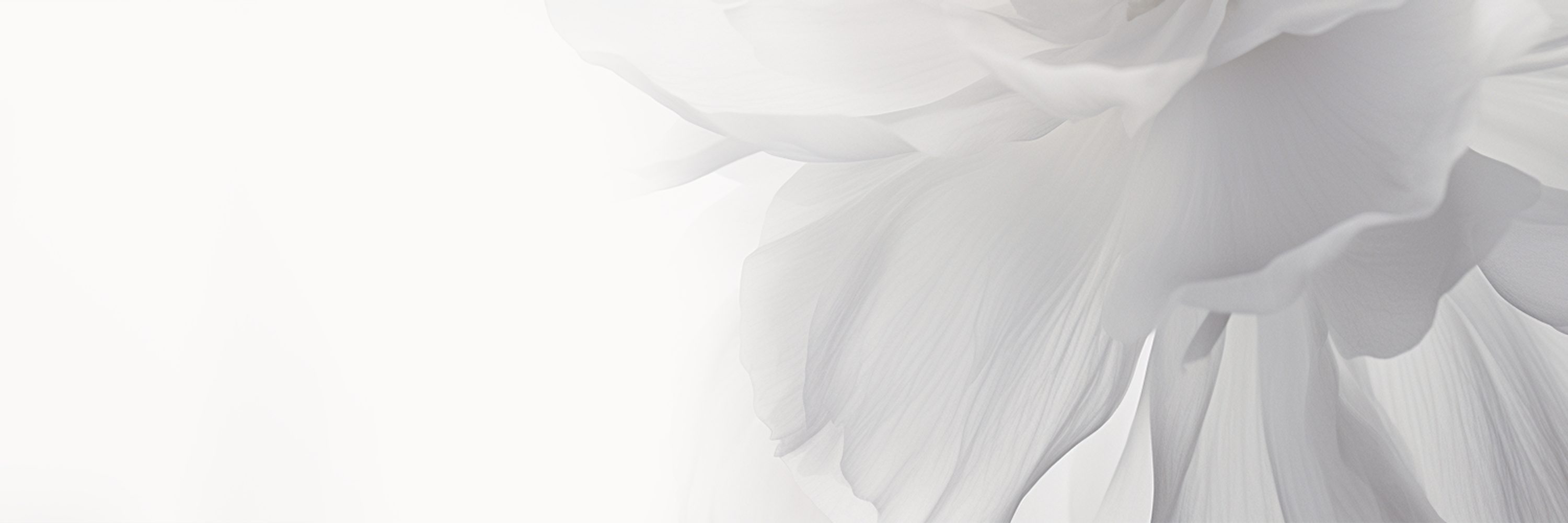 White Gold Engagement Rings