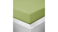 Homeville jersey prostěradlo ELASTIC oliva