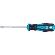 EXTOL PREMIUM ŠROUBOVÁK TORX, TTA25X100MM, CRV, 8819247 - ŠROUBOVÁKY TORX{% if kategorie.adresa_nazvy[0] != zbozi.kategorie.nazev %} - RUČNÍ NÁŘADÍ{% endif %}