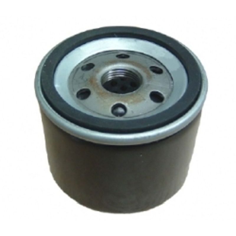 FILTR OLEJOVÝ PRO BS VANGUA /B14420, C4300408, 492932 - OLEJOVÉ FILTRY DO SEKAČEK - ZAHRADA