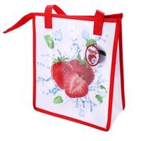 TORO TAŠKA CHLADÍCÍ NA ZIP JAHODA 33X28X13CM_hamashop