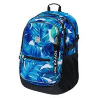 BAAGL Školní aktovka Kočka Baagl