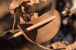 RAGNAR Forged Viking Axe