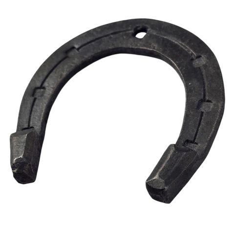 HORSESHOE FOR GOOD LUCK ON THE WALL, FORGED
