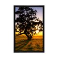 AFFICHE – ARBRE SOLITAIRE AU COUCHER DU SOLEIL - NATURE - AFFICHES