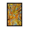 AFFICHE – COURONNES D'ARBRES EN AUTOMNE - NATURE - AFFICHES
