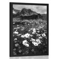 AFFICHE – PRAIRIE DE FLEURS EN FLEURS EN NOIR ET BLANC - NOIR ET BLANC - AFFICHES
