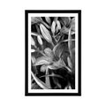 AFFICHE AVEC PASSE-PARTOUT – ÉPANOUISSEMENT DE LYS EN NOIR ET BLANC - NOIR ET BLANC - AFFICHES