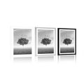 AFFICHE – ARBRE SOLITAIRE DANS UNE PRAIRIE EN NOIR ET BLANC - NOIR ET BLANC - AFFICHES