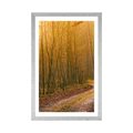 AFFICHE – CHEMIN VERS LA FORÊT - NATURE - AFFICHES