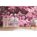 PAPIER PEINT PANORAMIQUE – DÉTAIL DES FLEURS DE CERISIER - PAPIERS PEINTS NATURE - PAPIERS PEINTS PANORAMIQUES