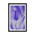 AFFICHE AVEC PASSE-PARTOUT – PISSENLIT EN VIOLET - FLEURS - AFFICHES