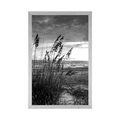 AFFICHE – COUCHER DE SOLEIL SUR LA PLAGE EN NOIR ET BLANC - NOIR ET BLANC - AFFICHES