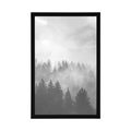 AFFICHE – BROUILLARD SUR LA FORÊT EN NOIR ET BLANC - NOIR ET BLANC - AFFICHES