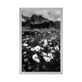 AFFICHE – PRAIRIE DE FLEURS EN FLEURS EN NOIR ET BLANC - NOIR ET BLANC - AFFICHES