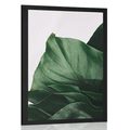 AFFICHE – FEUILLE DE MONSTERA CHARMANTE - FLEURS - AFFICHES