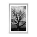 AFFICHE – ARBRE MAGNIFIQUE DANS LA PRAIRIE EN NOIR ET BLANC - NOIR ET BLANC - AFFICHES