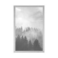 AFFICHE – BROUILLARD SUR LA FORÊT EN NOIR ET BLANC - NOIR ET BLANC - AFFICHES
