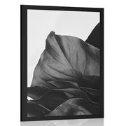 AFFICHE – FEUILLE DE MONSTERA CHARMANTE EN NOIR ET BLANC - FLEURS - AFFICHES