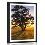 AFFICHE AVEC PASSE-PARTOUT – ARBRE SOLITAIRE AU COUCHER DU SOLEIL - NATURE - AFFICHES