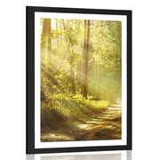AFFICHE AVEC PASSE-PARTOUT – RAYONS DE SOLEIL DANS LA FORÊT - NATURE - AFFICHES