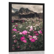 AFFICHE – PRAIRIE DE FLEURS EN FLEURS - NATURE - AFFICHES