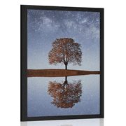 AFFICHE – CIEL ÉTOILÉ AU-DESSUS D'UN ARBRE SOLITAIRE - NATURE - AFFICHES