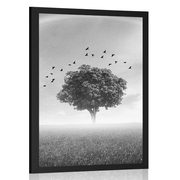 AFFICHE – ARBRE SOLITAIRE DANS LA PRAIRIE EN NOIR ET BLANC - AFFICHES - 🔥 VENTE TOTALE