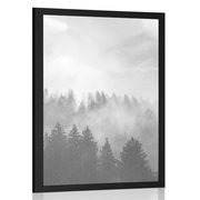 AFFICHE – BROUILLARD SUR LA FORÊT EN NOIR ET BLANC - NOIR ET BLANC - AFFICHES