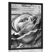 AFFICHE – ROSES VINTAGE ÉLÉGANTES EN NOIR ET BLANC - NOIR ET BLANC - AFFICHES
