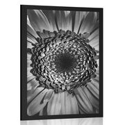 AFFICHE – GERBERA EN NOIR ET BLANC - NOIR ET BLANC - AFFICHES