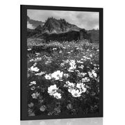 AFFICHE – PRAIRIE DE FLEURS EN FLEURS EN NOIR ET BLANC - NOIR ET BLANC - AFFICHES