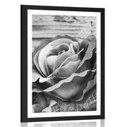 AFFICHE – ROSES VINTAGE ÉLÉGANTES EN NOIR ET BLANC - NOIR ET BLANC - AFFICHES