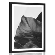 AFFICHE AVEC PASSE-PARTOUT – LETTRE DE MONSTERA SÉDUISANTE EN NOIR ET BLANC - NOIR ET BLANC - AFFICHES