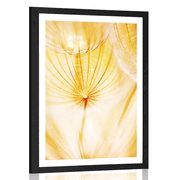 AFFICHE AVEC PASSE-PARTOUT – PISSENLIT EN JAUNE - FLEURS - AFFICHES