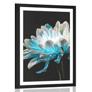 AFFICHE – MARGUERITE SUR FOND NOIR - FLEURS - AFFICHES