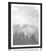 AFFICHE AVEC PASSE-PARTOUT – BROUILLARD SUR LA FORÊT EN NOIR ET BLANC - NOIR ET BLANC - AFFICHES