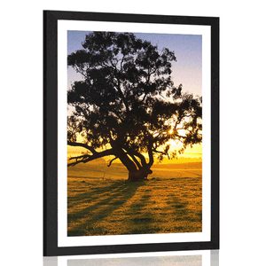 AFFICHE AVEC PASSE-PARTOUT – ARBRE SOLITAIRE AU COUCHER DU SOLEIL - NATURE - AFFICHES