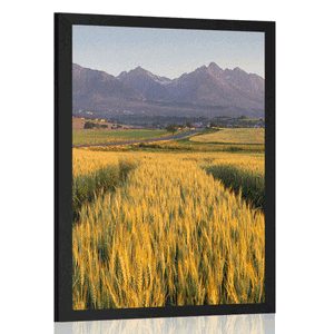 AFFICHE – COUCHER DE SOLEIL SUR LE CHAMP DE BLÉ - NATURE - AFFICHES