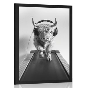 AFFICHE – VACHE AVEC CASQUE SUR TAPIS ROULANT - BUFFLE ET VACHES - AFFICHES