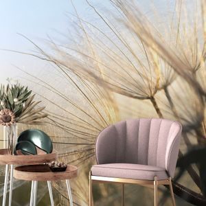 PAPIER PEINT PANORAMIQUE – PISSENLIT AU LEVER DU SOLEIL - PAPIERS PEINTS FLEURS - PAPIERS PEINTS PANORAMIQUES