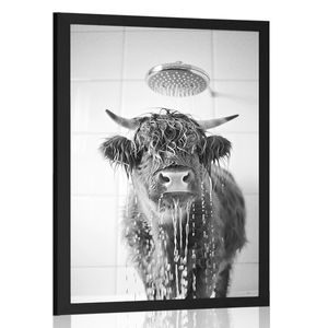 AFFICHE – VACHE SOUS LA DOUCHE - BUFFLE ET VACHES - AFFICHES
