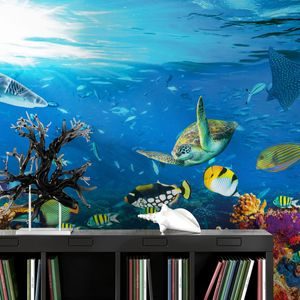 PAPIER PEINT PANORAMIQUE – MONDE SOUS-MARIN - PAPIERS PEINTS NATURE - PAPIERS PEINTS PANORAMIQUES