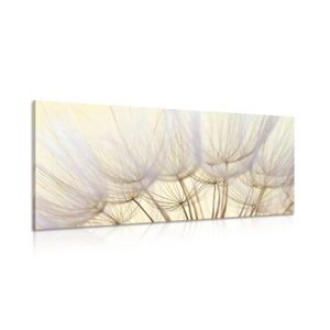 TABLEAU SUR TOILE – GRAINES DE PISSENLIT - TABLEAUX DE FLEURS - TABLEAUX