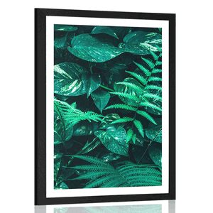 AFFICHE – FEUILLES TROPICALES FRAÎCHES - NATURE - AFFICHES