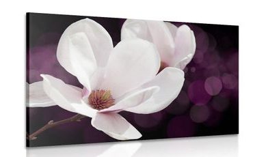 TABLEAU SUR TOILE – FLEUR DE MAGNOLIA SUR FOND ABSTRAIT - TABLEAUX DE FLEURS - TABLEAUX
