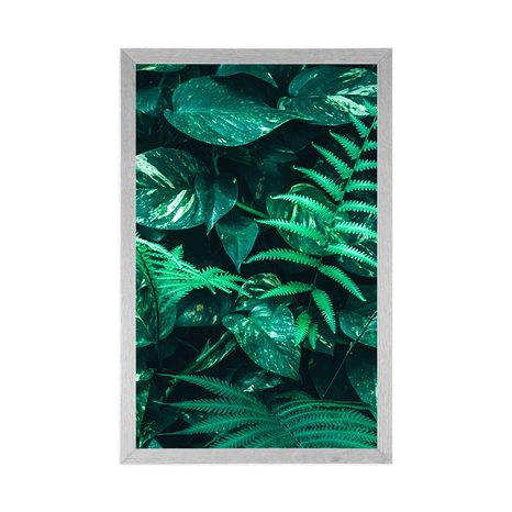 AFFICHE – FEUILLES TROPICALES FRAÎCHES - NATURE - AFFICHES