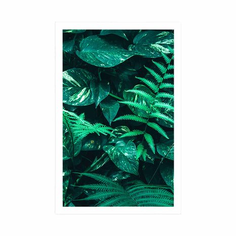 AFFICHE – FEUILLES TROPICALES FRAÎCHES - NATURE - AFFICHES