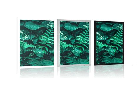 AFFICHE – FEUILLES TROPICALES FRAÎCHES - NATURE - AFFICHES